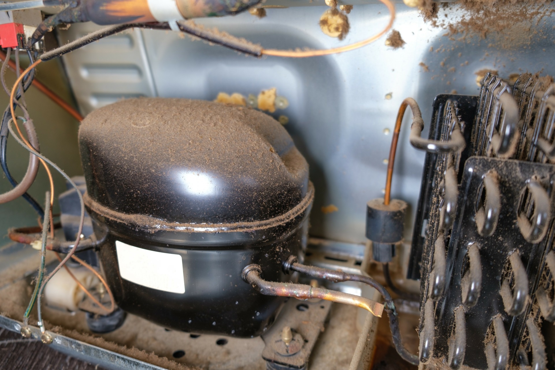 How Does a DPF Cleaning Machine Work? Are They Worthwhile?