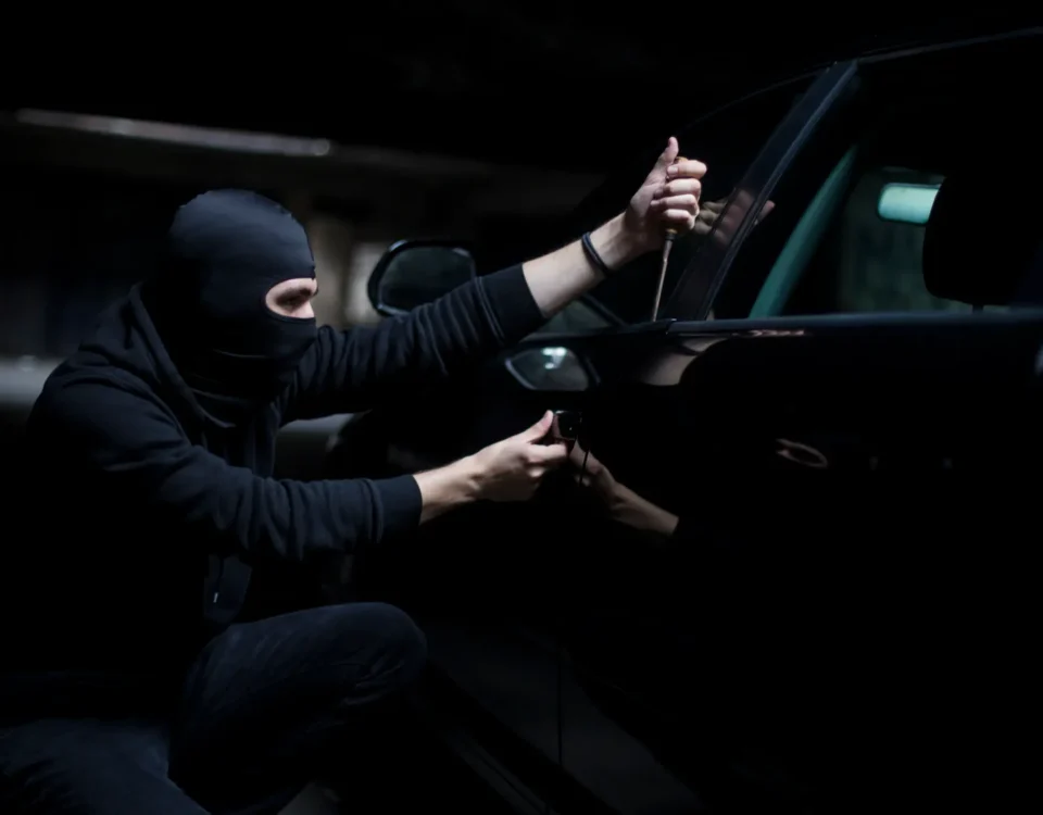 protect cars from thieves